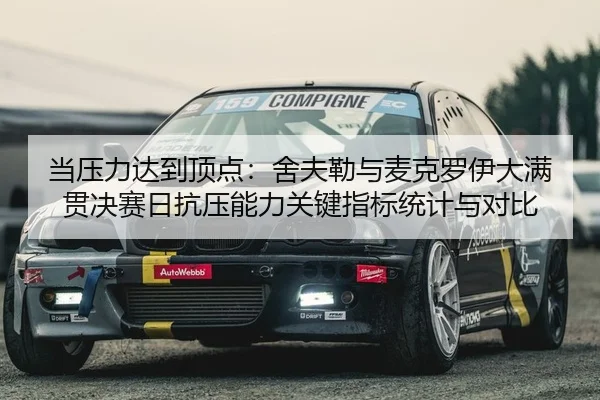 当压力达到顶点：舍夫勒与麦克罗伊大满贯决赛日抗压能力关键指标统计与对比